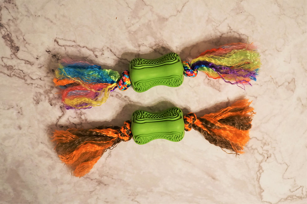 robuster Hundeball mit Tau Leckerlies