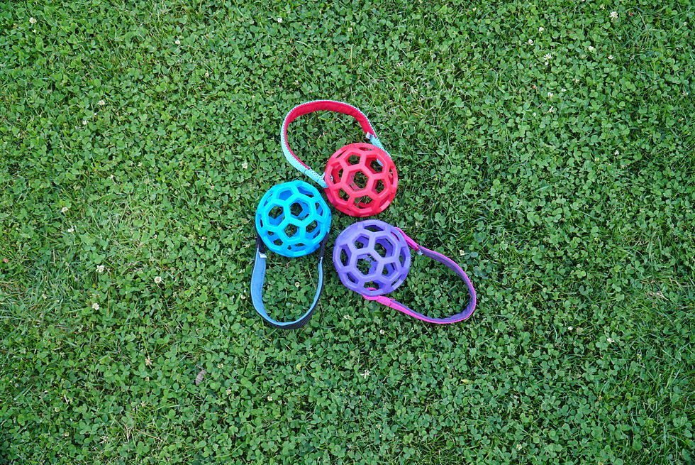 JW Hol-ee Roller M Griffschlaufe Zerrspiel Hund Spielzeug HaPiLy