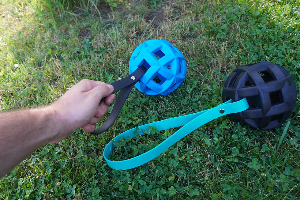 robuster Hundeball mit Zerrschlaufe Hundespielzeug JW Hol-ee Roller X