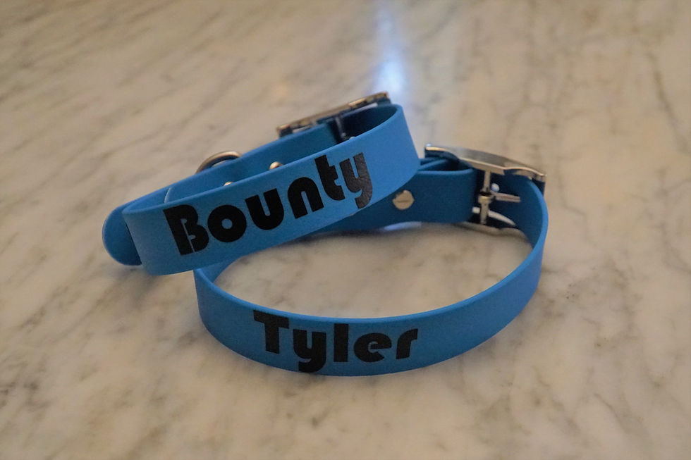 Miniaturbild: verstellbar Halsband Hund Wunschtext Personalisierung PVC Coated Webbing Biothane