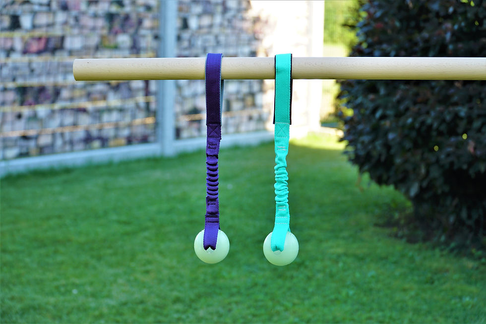 Miniaturbild: Chuckit! Max Glow  mit Bungee Zergel Hundespielzeug