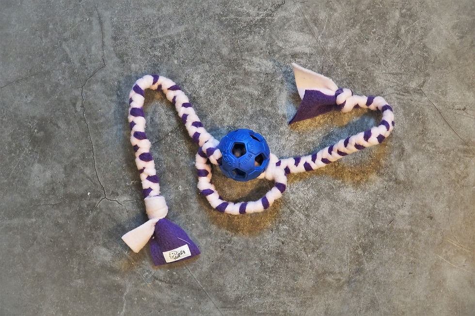 Soccer Ball am Zergel