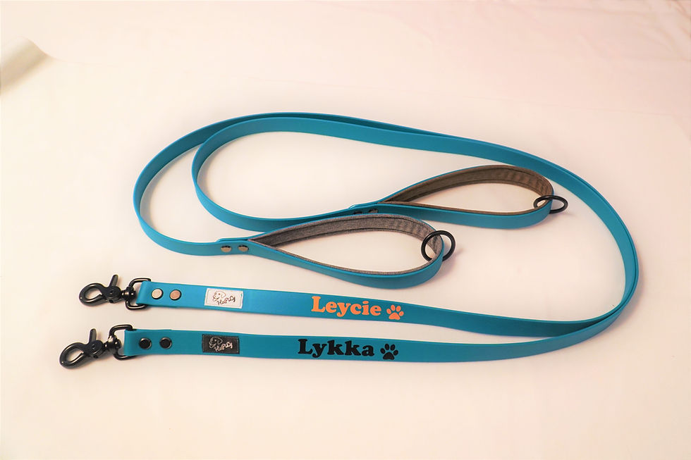 Miniaturbild: PVC Gurtband Leine für Hunde mit Wunschtext Biothane Coated Webbing