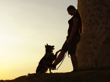 Neues Challenge-Jahr startet 🎉