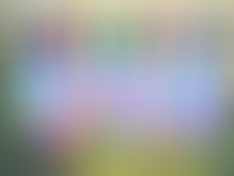 Neue Wuschel und Bälle