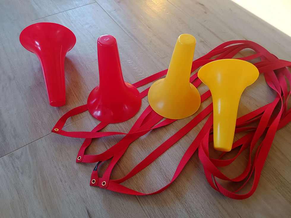 Miniaturbild: Boxband für den Hundesport Obedience 3x3 oder 4x4 Meter