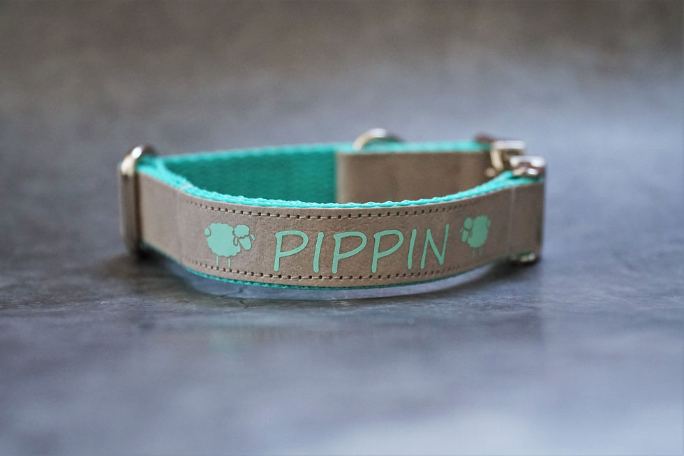 Miniaturbild: Halsband Hund mit veganem Leder und Wunschdruck