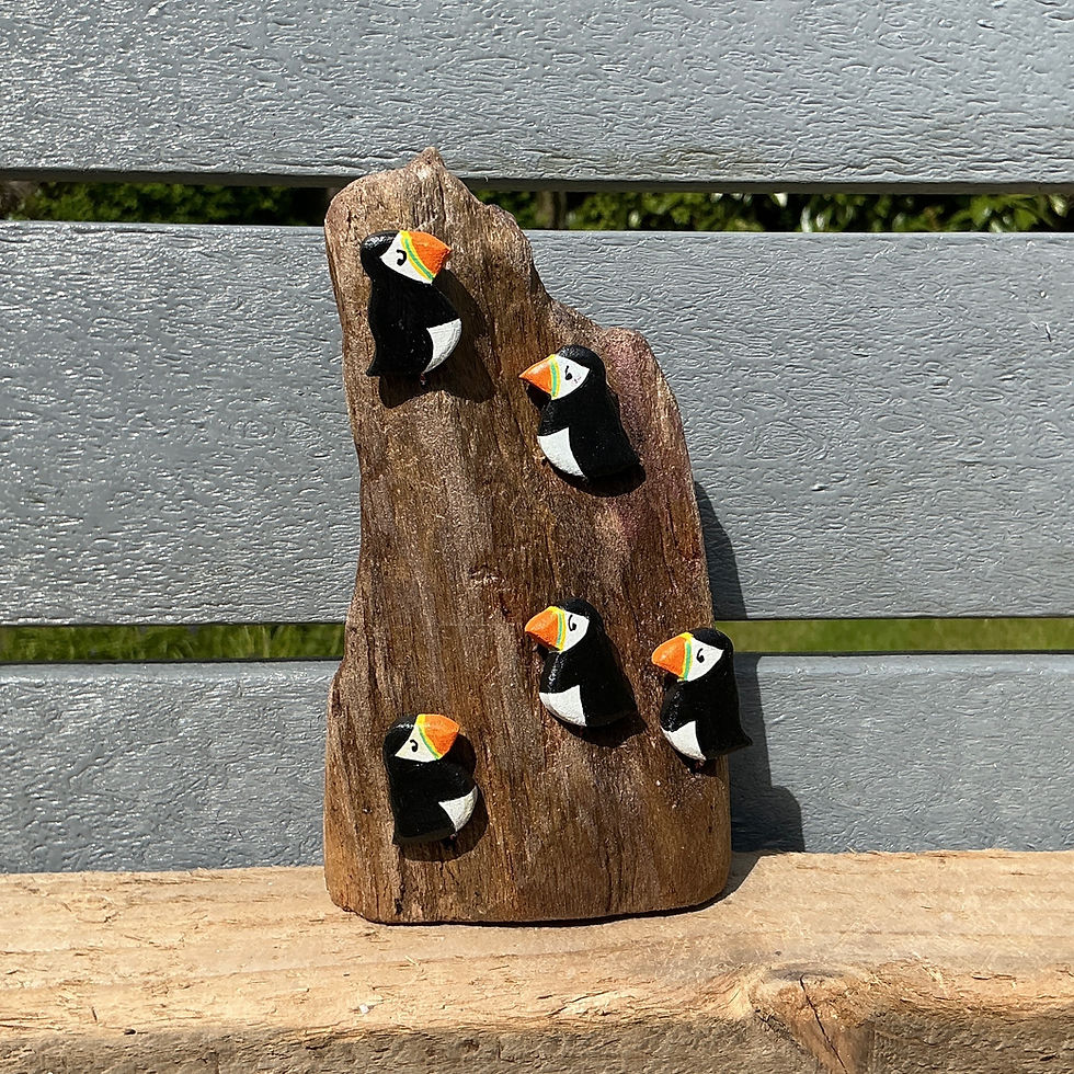 Thumbnail: Coastal Cliff Puffins