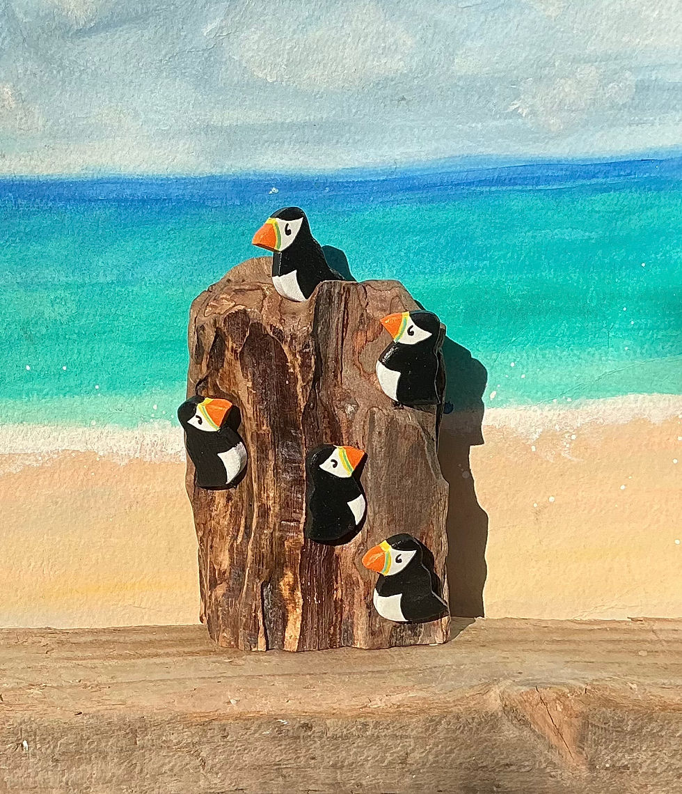 Thumbnail: Coastal Cliff Puffins