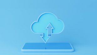 The Pros and Cons of True Cloud vs. Hosted Cloud: A Comprehensive Comparison