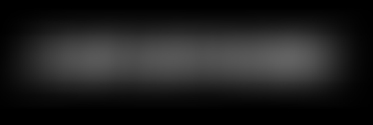 Mega GmbH unterstützt Stelantic – Gemeinsam über den Atlantik