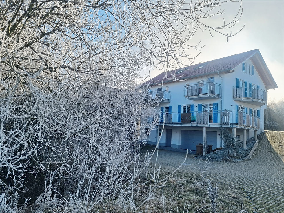 Winter Wonderland