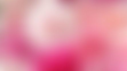 Aprende hacer tus propias Flores de Papel Gigantes