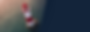 Principal-website-gpi-01.png