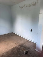 sanctuary 1.jpg