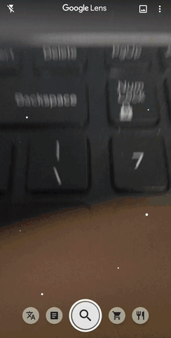 Jackson-P2E1.3.gif