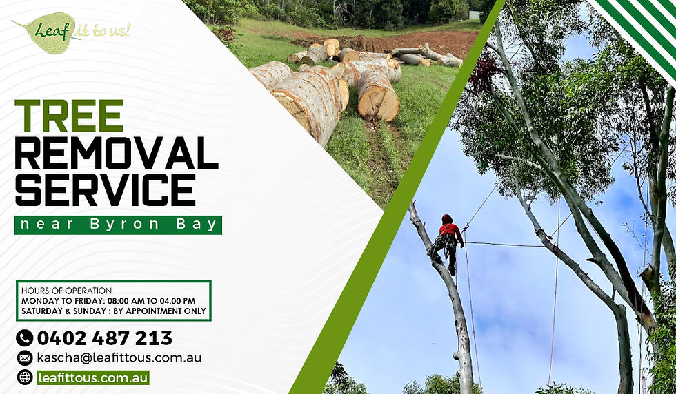 Why You Shouldn't Wait: The High Cost of Ignoring Tree Removal