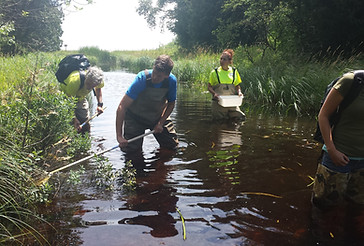 07. Stream Monitoring TRS.jpg
