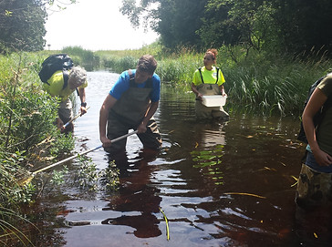 07. Stream Monitoring TRS.jpg