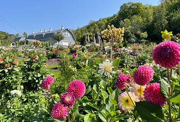 46. Horseshoe Bay Farms Tour_HSBF.jpg