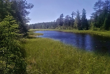 42. Summer Swale.jpg