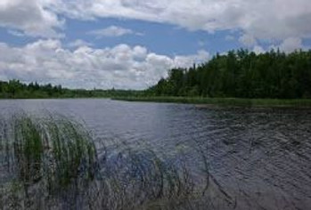 53. 218_mink_river.jpg