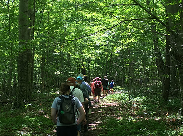 11. forest bathing A. Hamilton.JPG