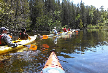 35. Kayak Logan Creek_B. Forest.jpg