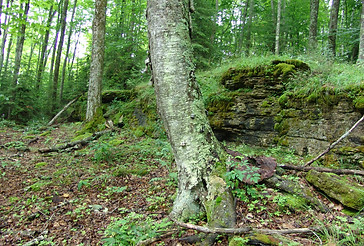 60. Wandering Aimlessly at Appel’s Bluff_TRS.JPG