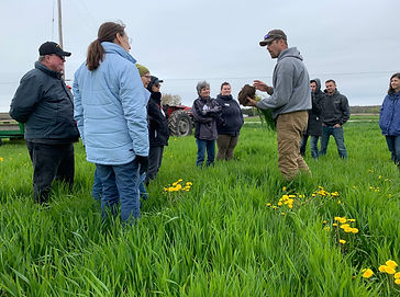 24. Regenerative Agriculture in Action_L. Brey.jpeg