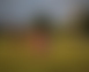 Mid year review and Llantwit Major double-header