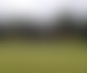 2020/21 - The season that never was...