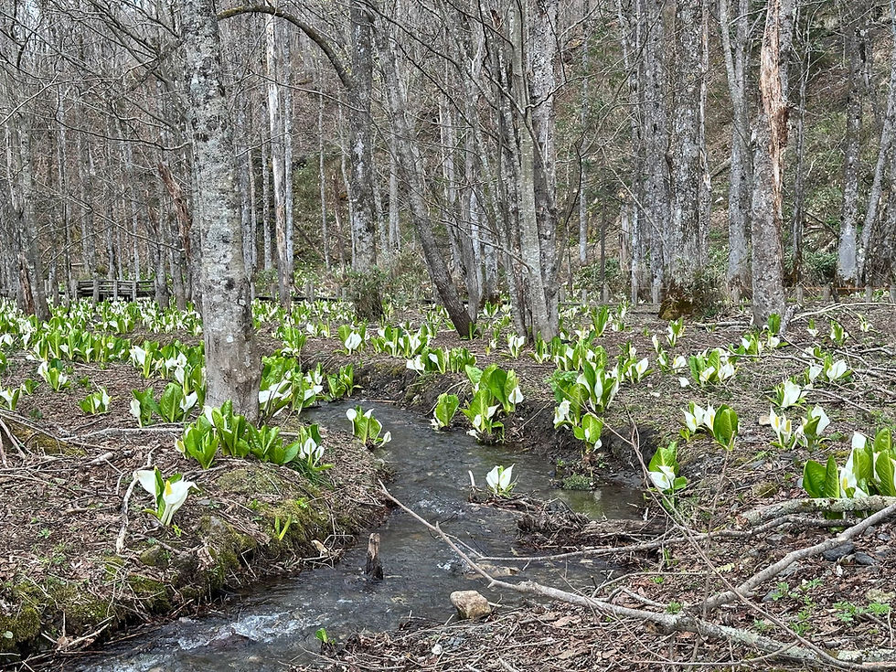国道のすぐ脇にあるので、車通りは多かったです