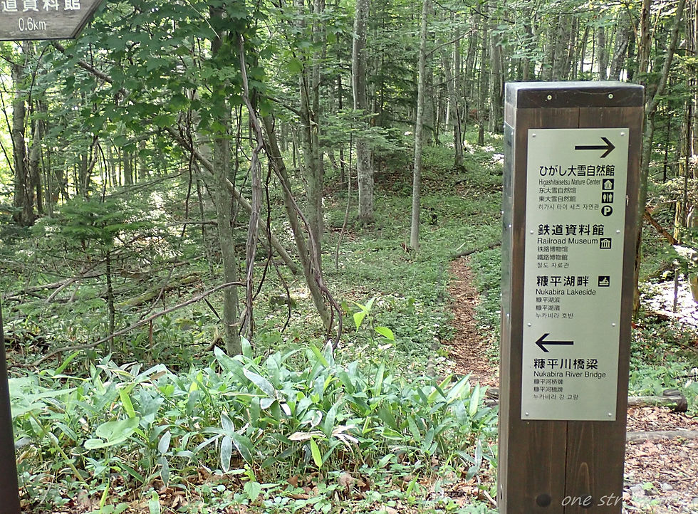 森の遊歩道に案内標識。右にひがし大雪自然館・鉄道資料館、左に糠平川橋梁と矢印。