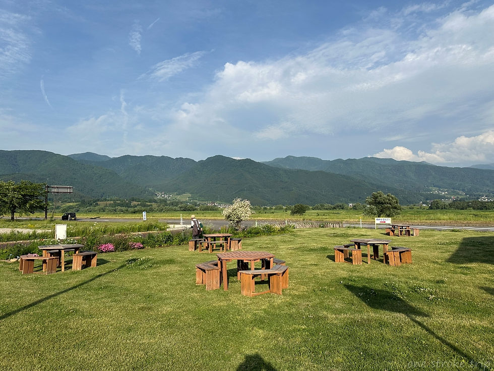 直売所の前の芝生広場