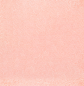 word-bg_1_2x.png