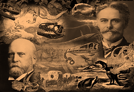 3a5a435a5e9017ed5d6b1d541ea3d536.png