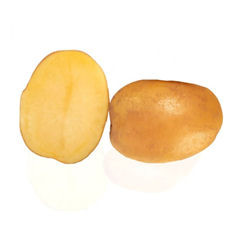 decibel potatis lättodlad