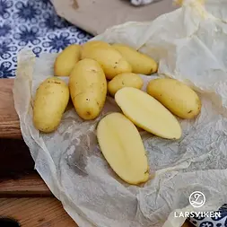 AF_Sattpotatis_Alexandra_LVH.webp