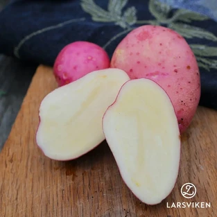 sarpo mira potatis