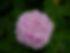 shutterstock_1497319715.jpg