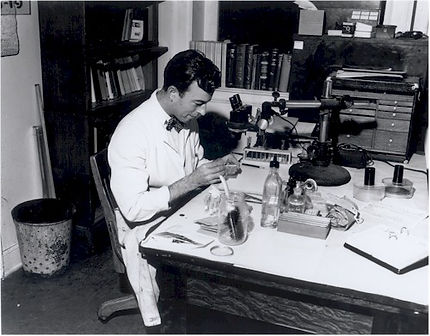 1 1950s - Forensic Scientist.jpeg