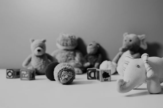Toys_edited.jpg