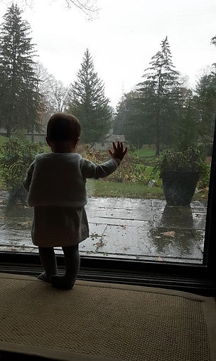 Small child looking through window
