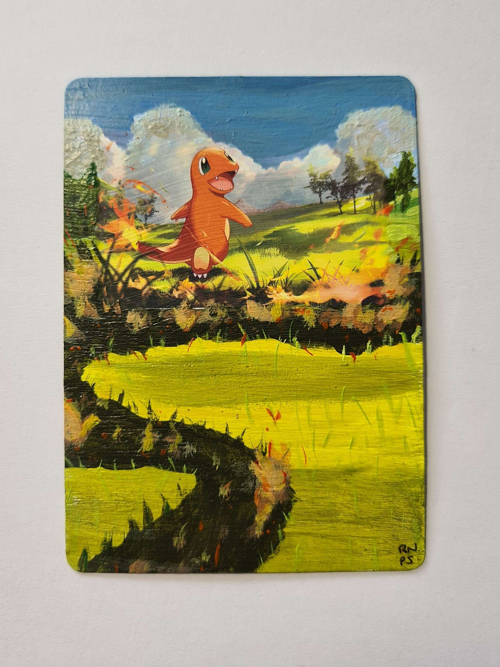 pokemon cards display Eevee TG11/TG30