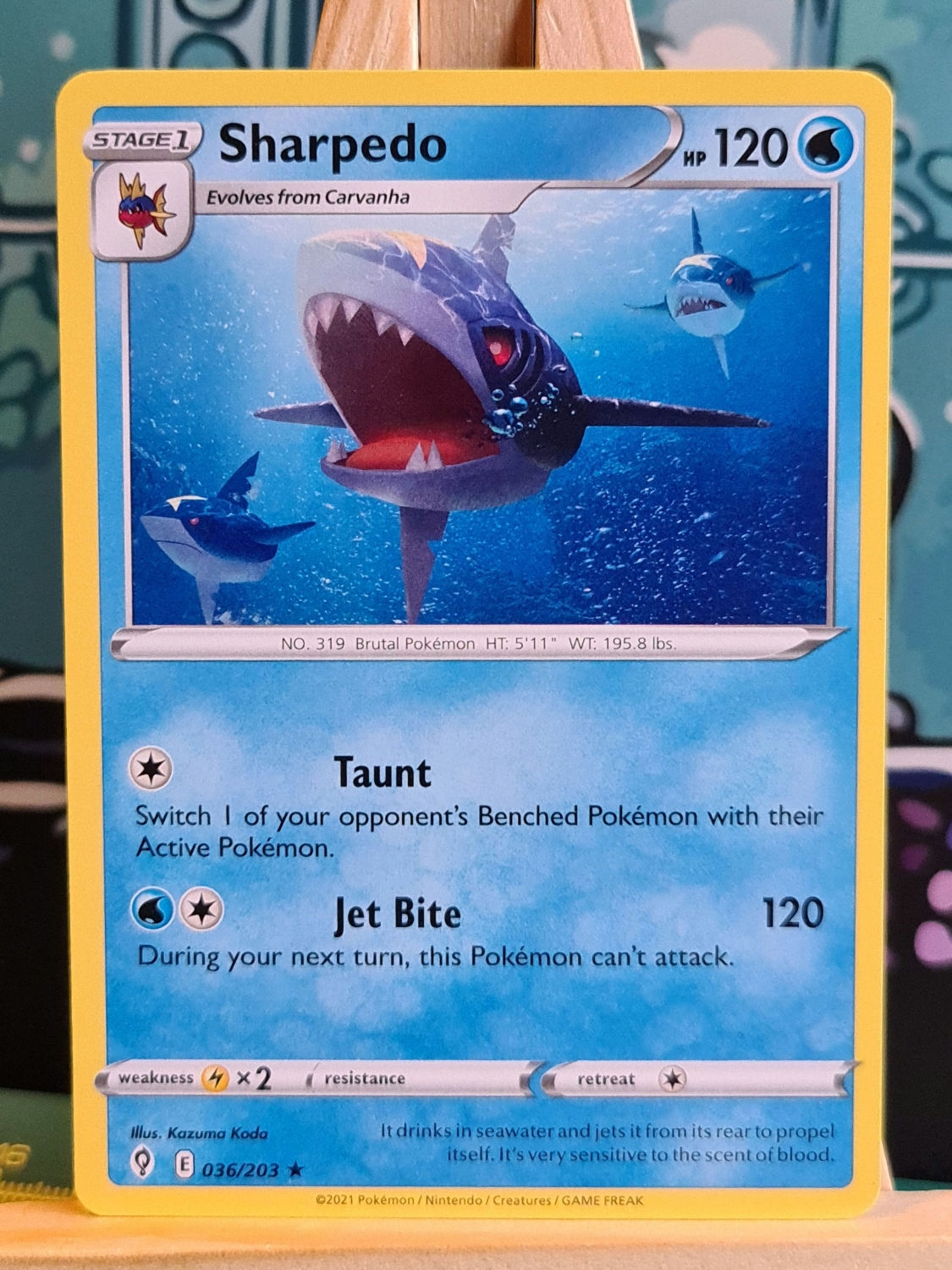 Sharpedo Rare 36/203- Evolving Skies