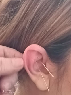 IMG_20250216_145609_251