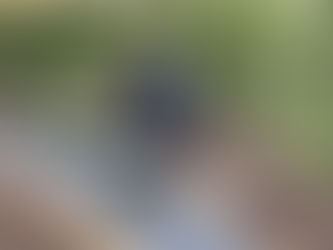 Layers of the Landscape: Designing Gardens Through the Lens of History