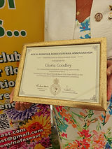 Gloria's fellowship award.jpg