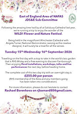 WILD! FESTIVAL REVISED POSTER.jpg